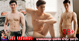 ปก นภพล